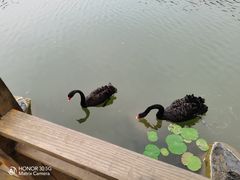 -上海怡沁园度假酒店
