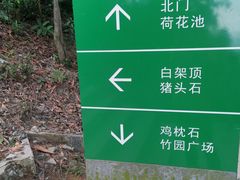 -火炉山森林公园