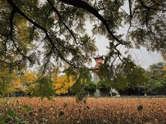 -四川大学(华西校区)