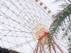 -三亚海昌梦幻海洋不夜城