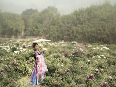 -九月鹰飞汉服摄影工作室