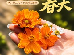 -千泷沟大瀑布旅游区