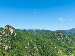 -大岭沟猕猴桃谷风景区