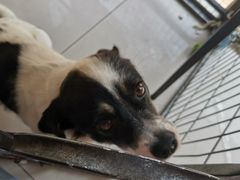 -平行世界·猫咖(首经贸店)