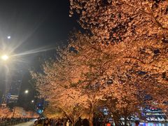 -西北湖绿化广场