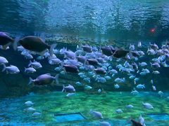 -蓬莱欧乐堡海洋极地世界