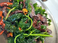 -七采菌园·野生菌石锅鱼(环城北路店)