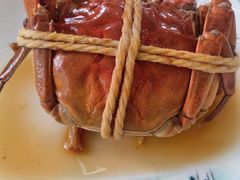 -蟹天蟹地农家菜·阳澄湖大闸蟹(浅水湾店)