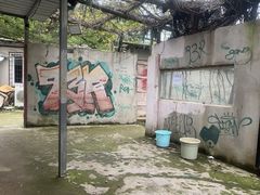 -东湖小天池真人CS彩弹野战基地