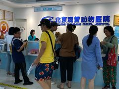 -北京观赏动物医院·24小时大型综合·猫专科·异宠专科