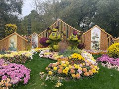 -上海共青森林公园