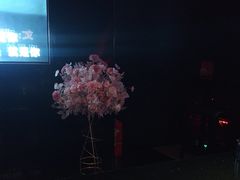 -黑桃K生日订制KTV