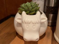 -FAT COW(静安寺店)