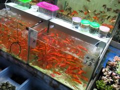 水产区-大学城夜市大排档(凤栖路店)