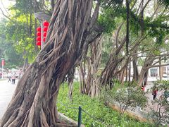 -荔湾湖公园