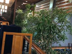 -向阳庄烧烤店(望京西园店)