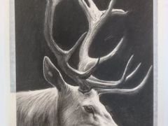 -信马画室 成人零基础到个人创作画室(亚运村店)