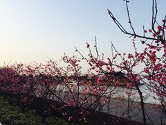 -苏州吴中太湖旅游区