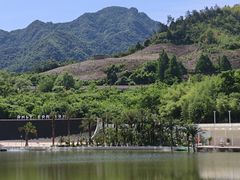 -中国宣纸文化园