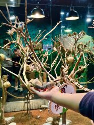 -Zoolung Zoolung动物主题公园(海信广场店)