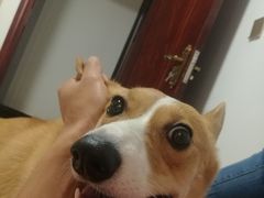 -欢唱KTV(映月湖环宇城店)