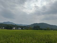 -塔川景区