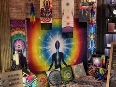 -雪灵魔法世界SHELLY’S TAROT(大良桂畔里店)
