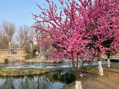 -三里河公园