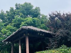 -宝界山林公园