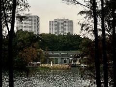 -荔湾湖公园