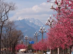 -黑龙潭公园