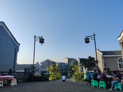 -铁山坪森林公园