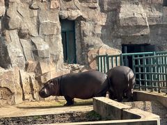 -哈尔滨北方森林动物园