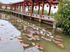 -广州莲花山旅游区