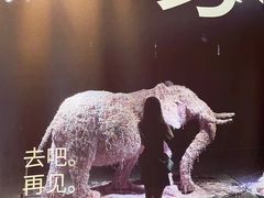 -成都许燎源现代设计艺术博物馆
