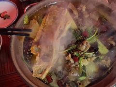 -沙胆彪炭炉牛杂煲(成都玉林店)