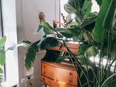 -The Rug Cafe(王府中环店)