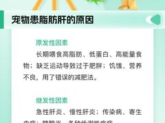 -瑞派申生动物医院·24H夜诊·国际动物医疗中心·骨外科(吴中路店)