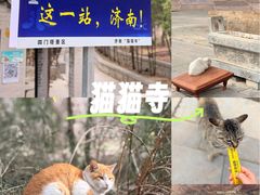 -四门塔风景区