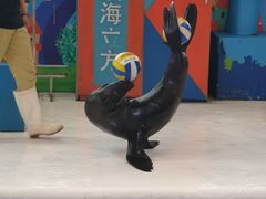 -成都浩海立方海洋公园