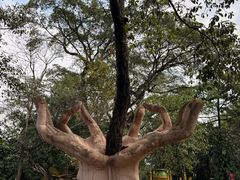 -独树成林