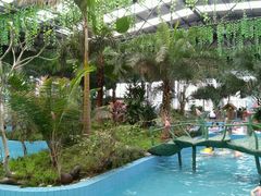 -灵山莲花公园-温泉度假区