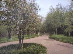 -禹州森林植物园