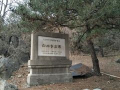 -白水寺森林公园