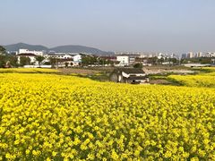 -苏州吴中太湖旅游区