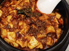 -陈麻婆豆腐总店