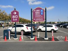-迪士尼乐园停车场