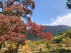 -塔川景区