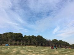 -昆山城市生态森林公园