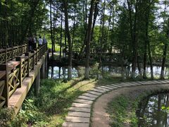 -桤木河湿地公园